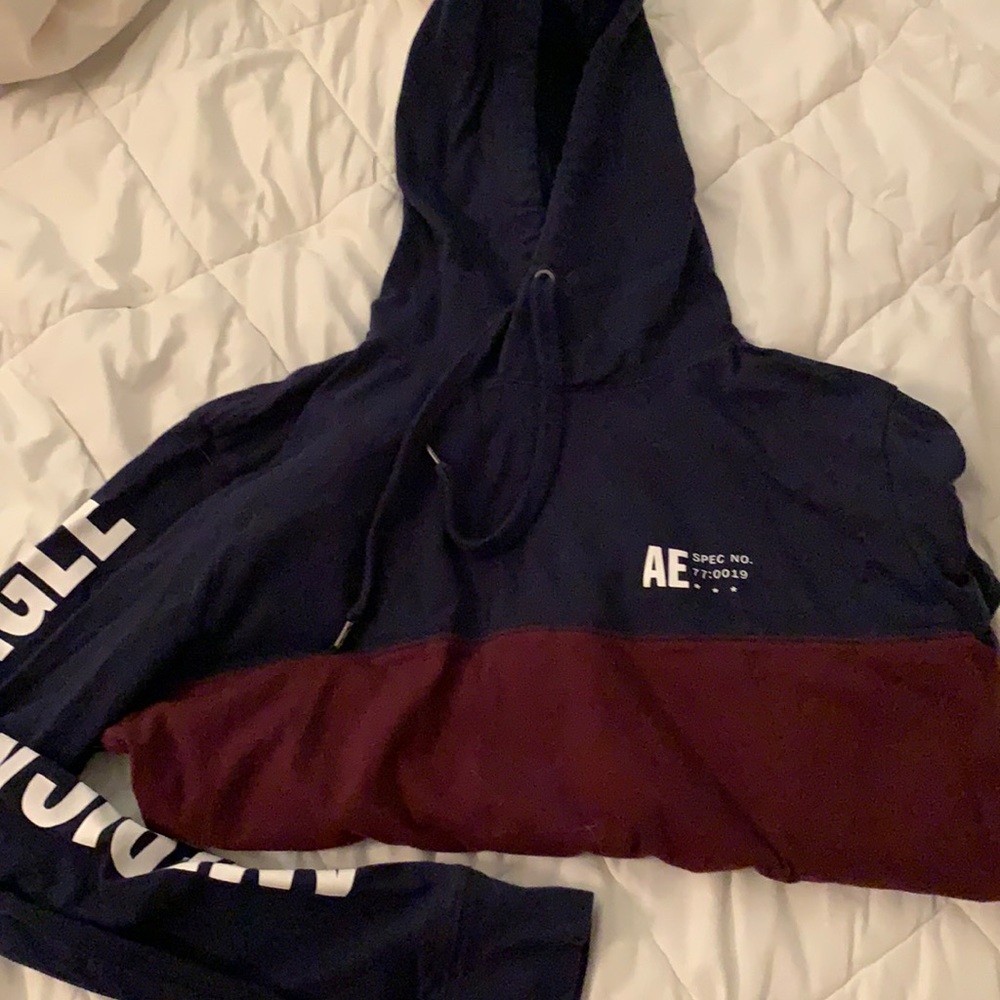 Men’s American Eagle Hoodie